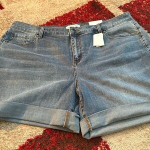 Lane Bryant Denim shorts